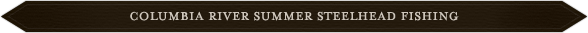 A brown banner with the word " summer ".