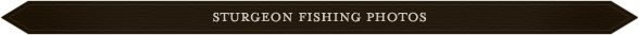 A sign that says fishing in white letters.