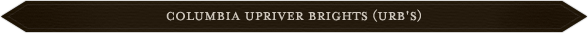 A brown banner with the words " river road ".