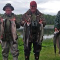 Three men holding fish in their hands while standing on a grass covered field.