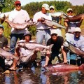 A group of men holding fish in the water.