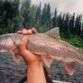 A person holding a fish in their hand.