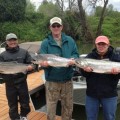 Three people holding up fish on a dock.