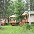 A couple of cabins in the woods with steps leading to them.