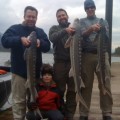 A group of men holding up fish on the dock.