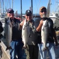 Three men holding up fish on a boat.