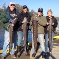 Four people holding large fish on a dock.