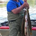 A man holding two fish in his hands.