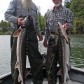 Two men holding up fish on a boat.