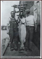 Three men standing on a boat with a fish.