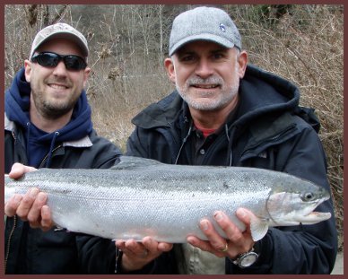 Two men holding a large fish in their hands.