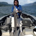 A man holding a fish on the back of a boat.